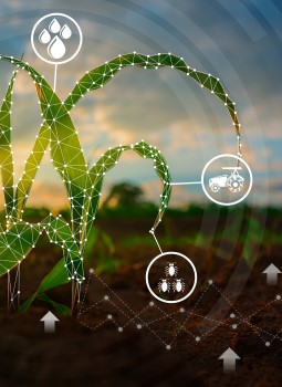Bayerâ€™s development and launch of highly innovative digital agriculture and sustainability initiatives